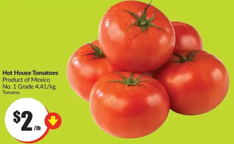 FreshCo Hot house tomatoes offer