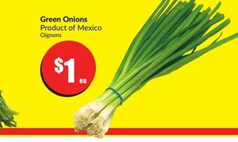 FreshCo Green onions product of mexico offer