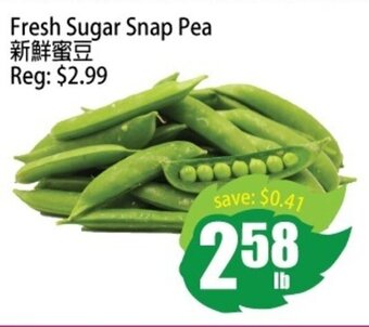 Fresh Sugar Snap Pea