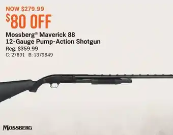 Cabela's Mossberg maverick 88 12-gauge pump-action shotgun offer