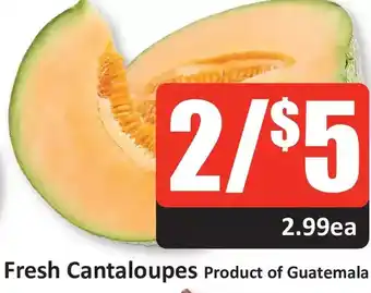 Starsky Fresh cantaloupes offer