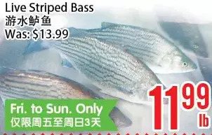 Bestco Food Mart Live striped bass offer