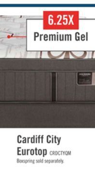 The Brick Stearns & foster founders collection cardiff city eurotop queen mattress offer