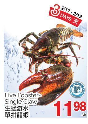 T&T Supermarket Live lobster single claw offer