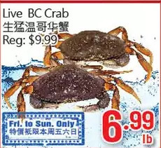 Hong Tai Supermarket Live bc crab offer