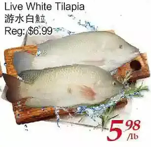 Tone Tai Supermarket Live white tilapia offer