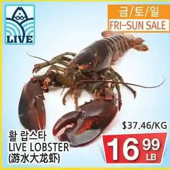 H-Mart Live lobster offer