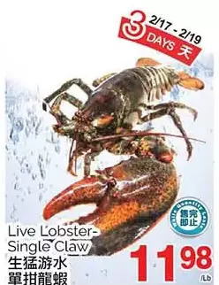 T&T Supermarket Live lobster-single claw offer