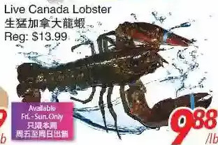 Foody World Live canada lobster offer