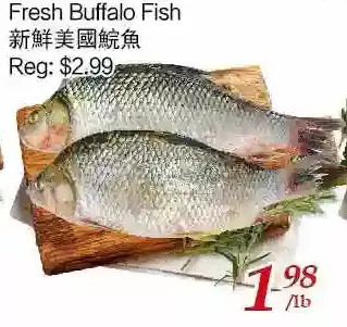 Tone Tai Supermarket Fresh buffalo fish offer