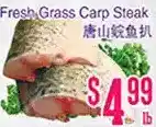 Fresh grass carp steak