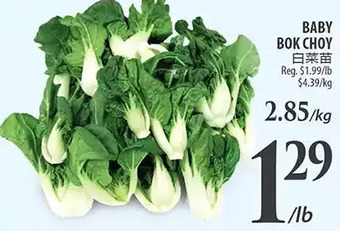 Al Premium Food Mart Baby bok choy offer
