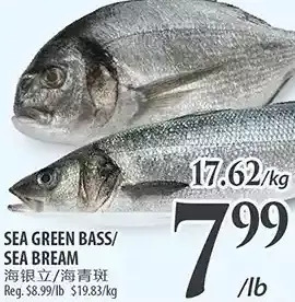 Al Premium Food Mart Sea green bass/sea bream offer