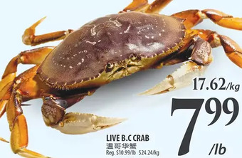 Al Premium Food Mart Live b.c. crab offer