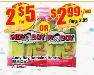 Btrust Supermarket Andy boy romaine hearts offer