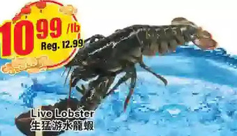 Btrust Supermarket Live lobster offer