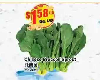 Btrust Supermarket Chinese broccoli sprout offer