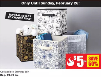 Kitchen Stuff Plus Collapsible storage bins offer