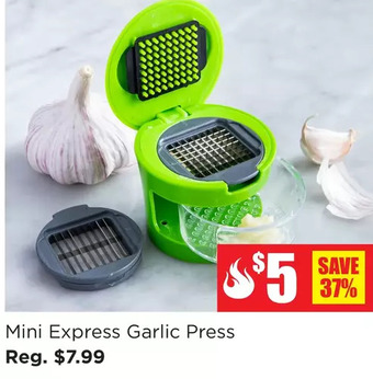 Kitchen Stuff Plus Mini express garlic press offer