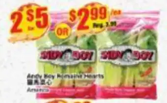 Btrust Supermarket Andy Boy Romaine Hearts offer