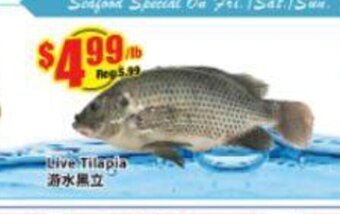Btrust Supermarket Live Tilapia offer