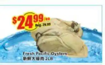 Btrust Supermarket Fresh Pacific Oysters 2LB offer