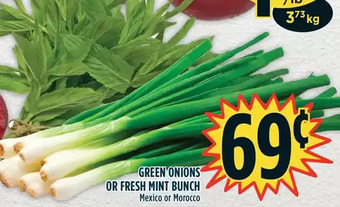 Marché Adonis Green onions or fresh mint bunch offer