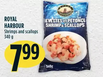Marché Adonis Royal harbour shrimps and scallops offer