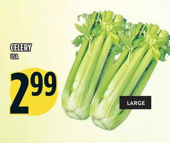Marché Adonis Celery offer