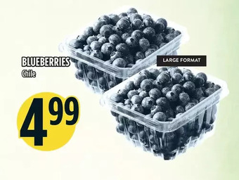 Marché Adonis Blueberries offer