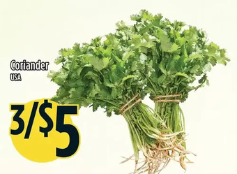 Marché Adonis Coriander offer