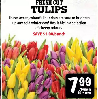 Farm Boy Fresh cut tulips offer