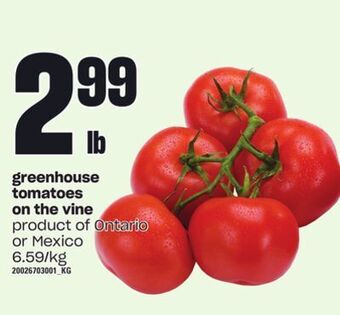 Loblaws Greenhouse tomatoes on the vine offer