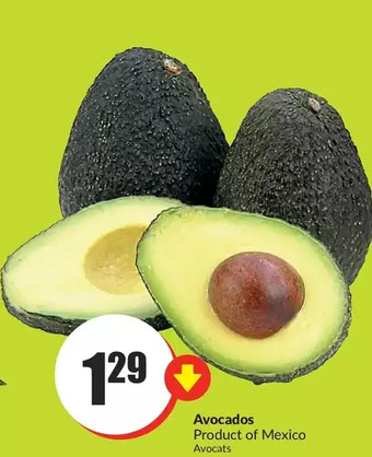 FreshCo Avocados offer