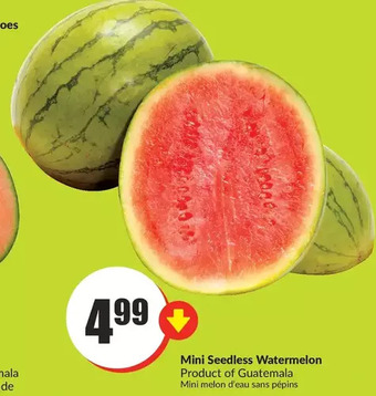 FreshCo Mini seedless watermelon offer