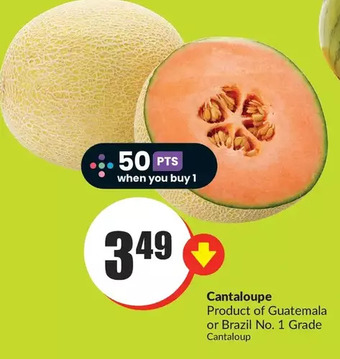 FreshCo Cantaloupe offer