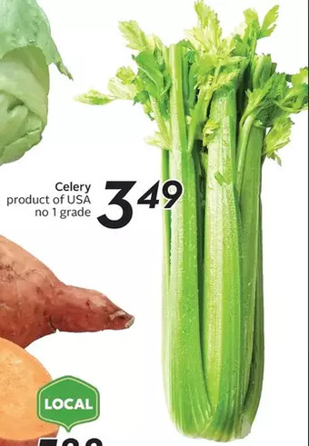 Sobeys Celery offer