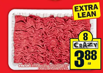 Food Basics Fresh extra lean ground beef offer