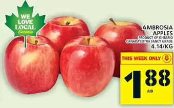 Food Basics Ambrosia apples offer