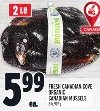 Metro Fresh canadian cove organic canadian mussels offer