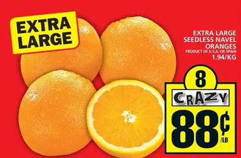 Food Basics Extra large seedless navel oranges offer