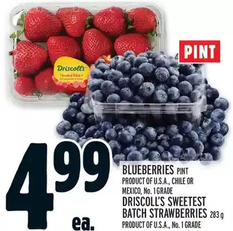 Metro Blueberries | driscoll's sweetest batch strawberries offer
