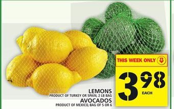 Food Basics Lemons or avocados offer