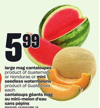 Independent Grocer Large mag cantaloupes or mini seedless watermelons offer