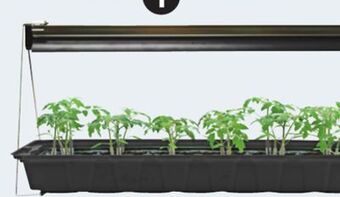 Canadian Tire Jiffy grow light for seedlings & cuttings offer