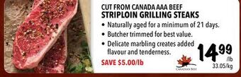 Farm Boy Cut from canada aaa beef striploin grilling steaks offer