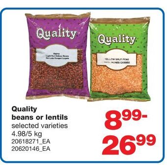 Wholesale Club Quality beans or lentils, 4.98/5 kg offer