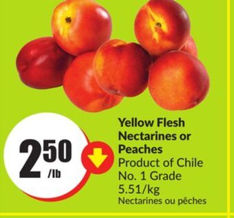 FreshCo Yellow flesh nectarines or peaches product of chile no. 1 grade 5.51/kg offer