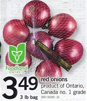 Fortinos Red onions offer