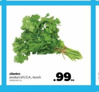 Real Canadian Superstore Cilantro offer
